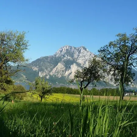 In Am Traunsee Mit Panoramablick Altmuenster