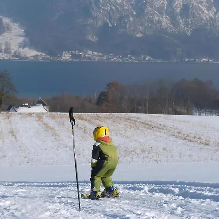 In Am Traunsee Mit Panoramablick Apartment *